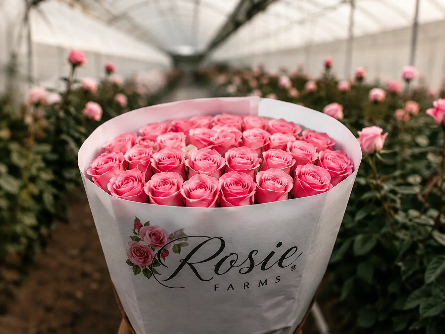 Rosie Farms Premium Flowers